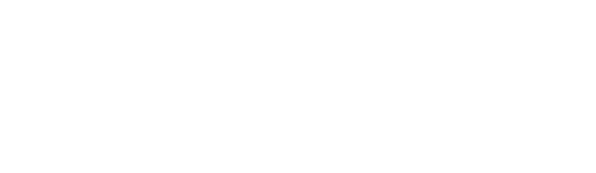 CMYK-BPDZenith_logo_white@2x